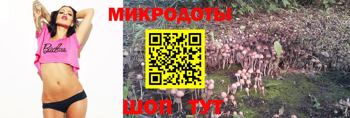 Кохма  Галлюциногенные грибы MAGIC MUSHROOMS  Вход с VPN 
