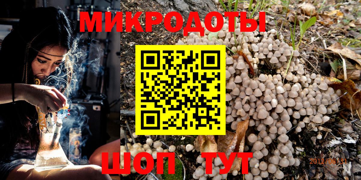 Галлюциногенные грибы Psilocybine cubensis Кохма